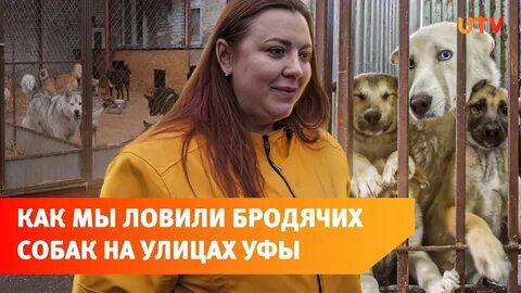Рысь с бешенством напала на девочку в детском лагере под Уфой