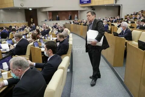 депутаты госдумы обсуждение законопроекта