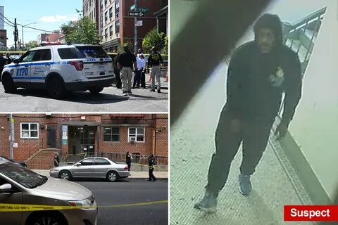 место стрельбы в Бронксе|Поисковый запрос: Bronx shooting Morris Heights