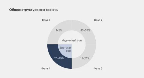 фазы сна человека