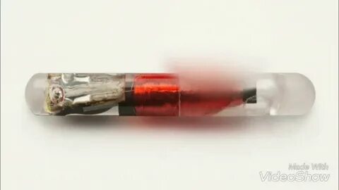 микрочип для собаки