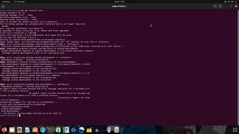 Wine на Raspberry Pi