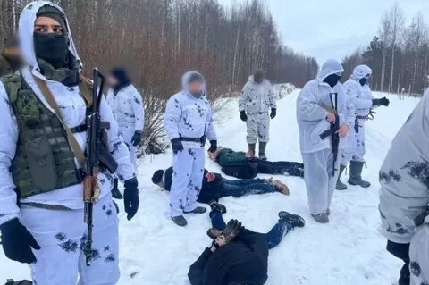 задержание на границе Финляндии и России