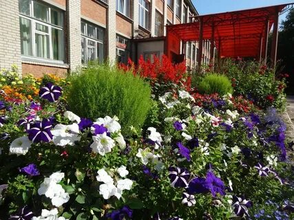 цветы у входа в московскую школу