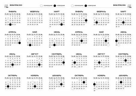 Редкое новолуние в январе 2026: прогнозы астрологов и рекомендации для знаков Зодиака