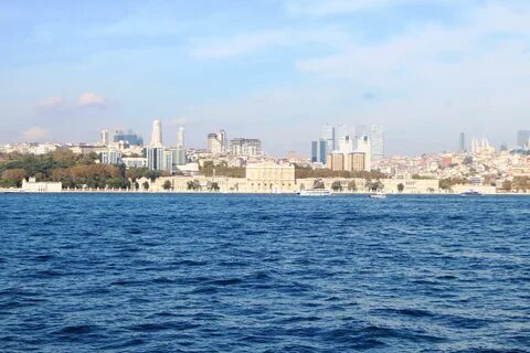 В Босфоре нашли тело пропавшего российского пловца Свечникова: семья едет на опознание