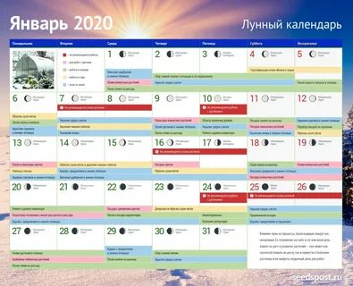 День объятий, лунные приметы и традиции Емельяна: чем запомнится 21 января