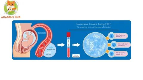 НИПТ станет бесплатным для беременных по ОМС с 2026 года