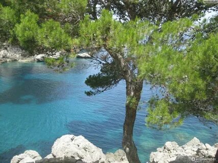 природа Майорки