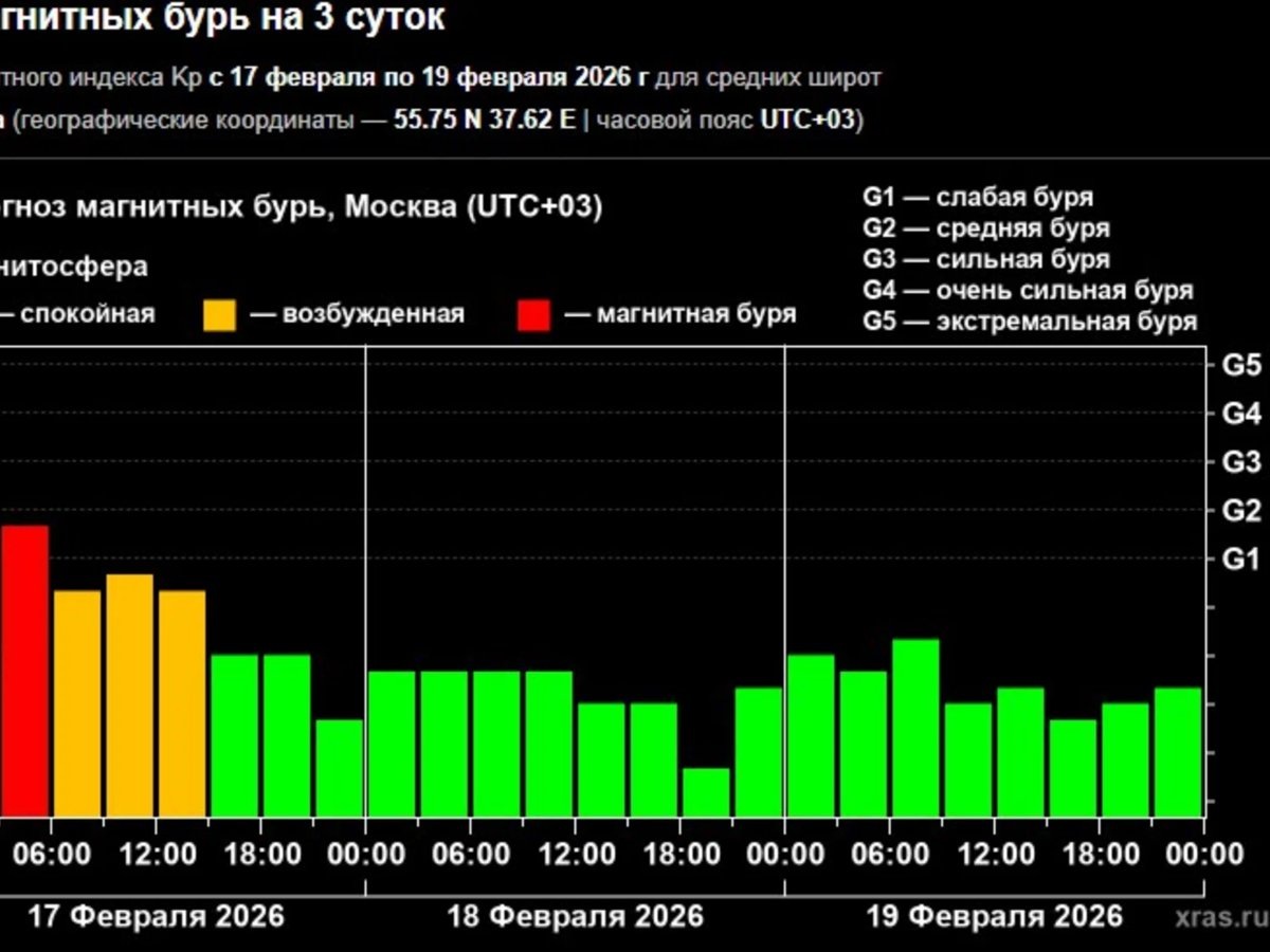 солнечная активность февраль 2026