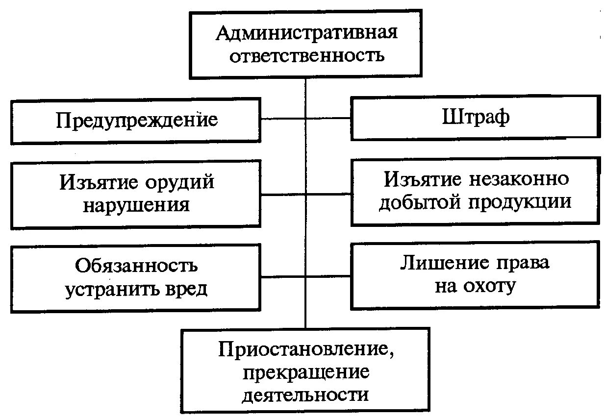 схема ответственности в юридических процессах