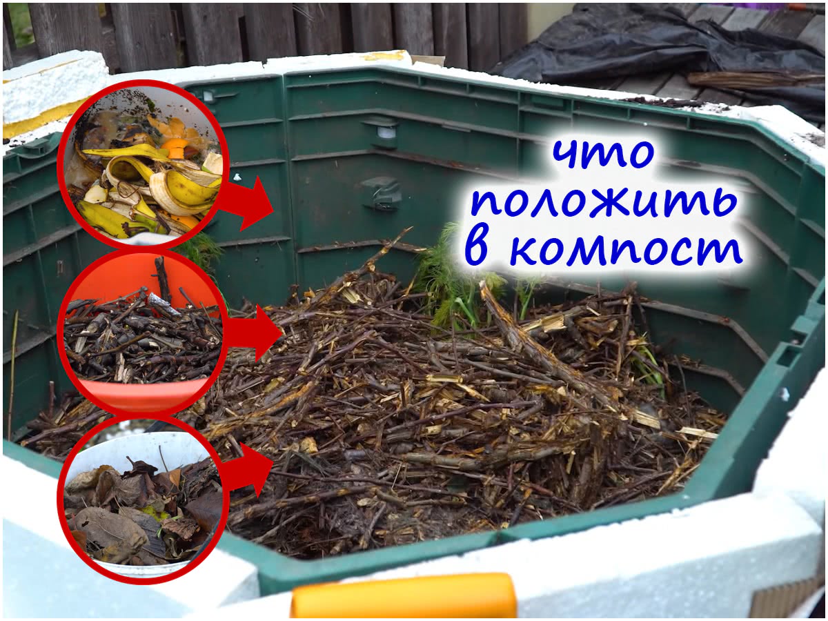компост из кухонных отходов