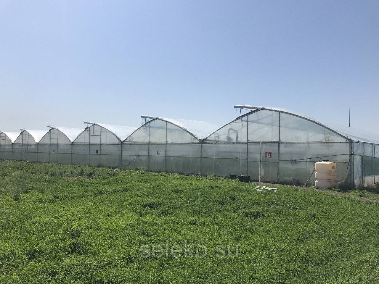 современные покрытия теплиц 2026