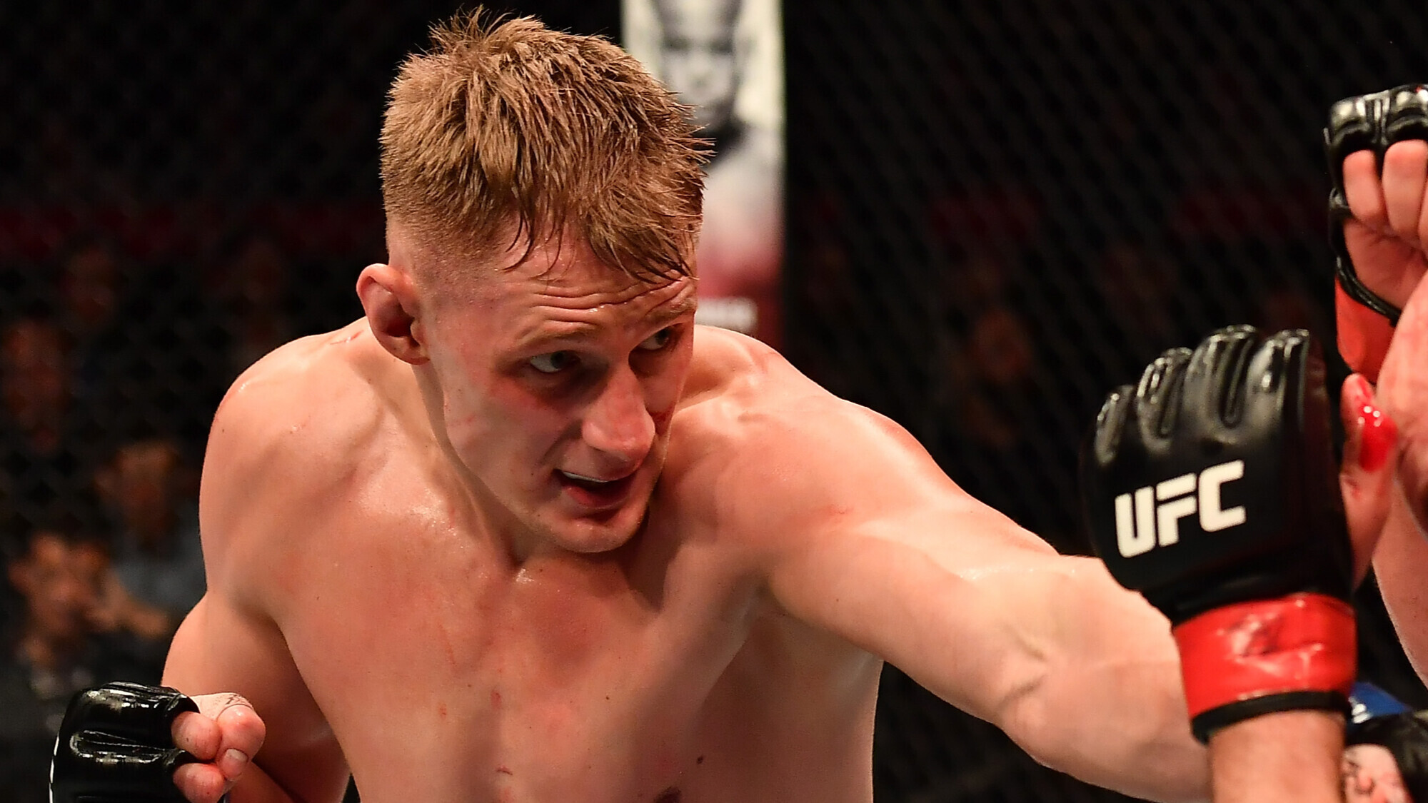 Александр Волков UFC