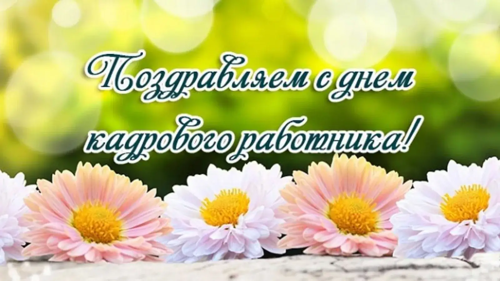праздник кадровиков награждение