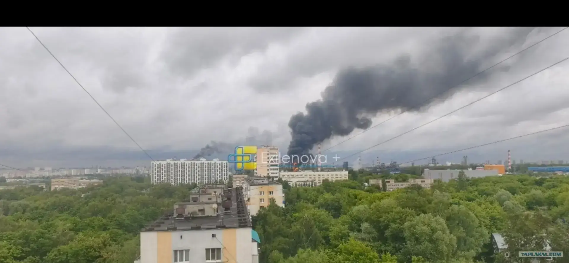 https://pulsfid.ru/storage/attachments/2026/06/18/b5a9df5d-932f-4f4d-965f-fb0d9461d197.webp