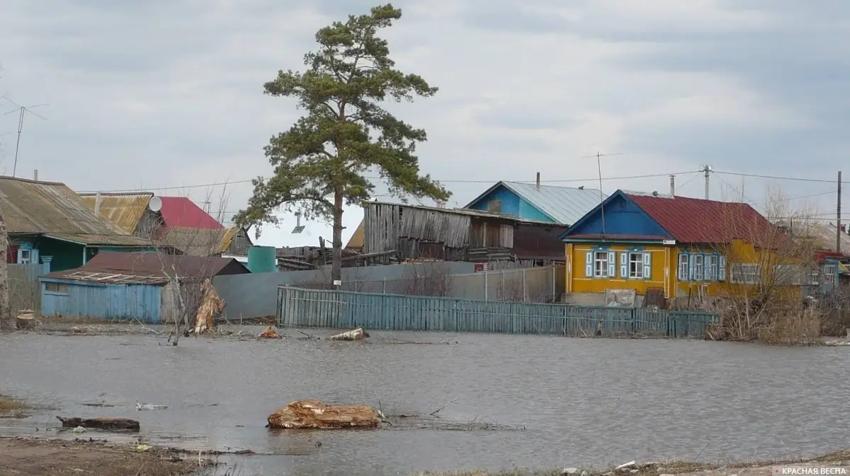 паводок на Кубани июнь 2026 новости
