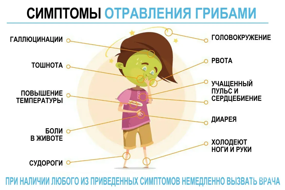 первая помощь при отравлении грибами инфографика