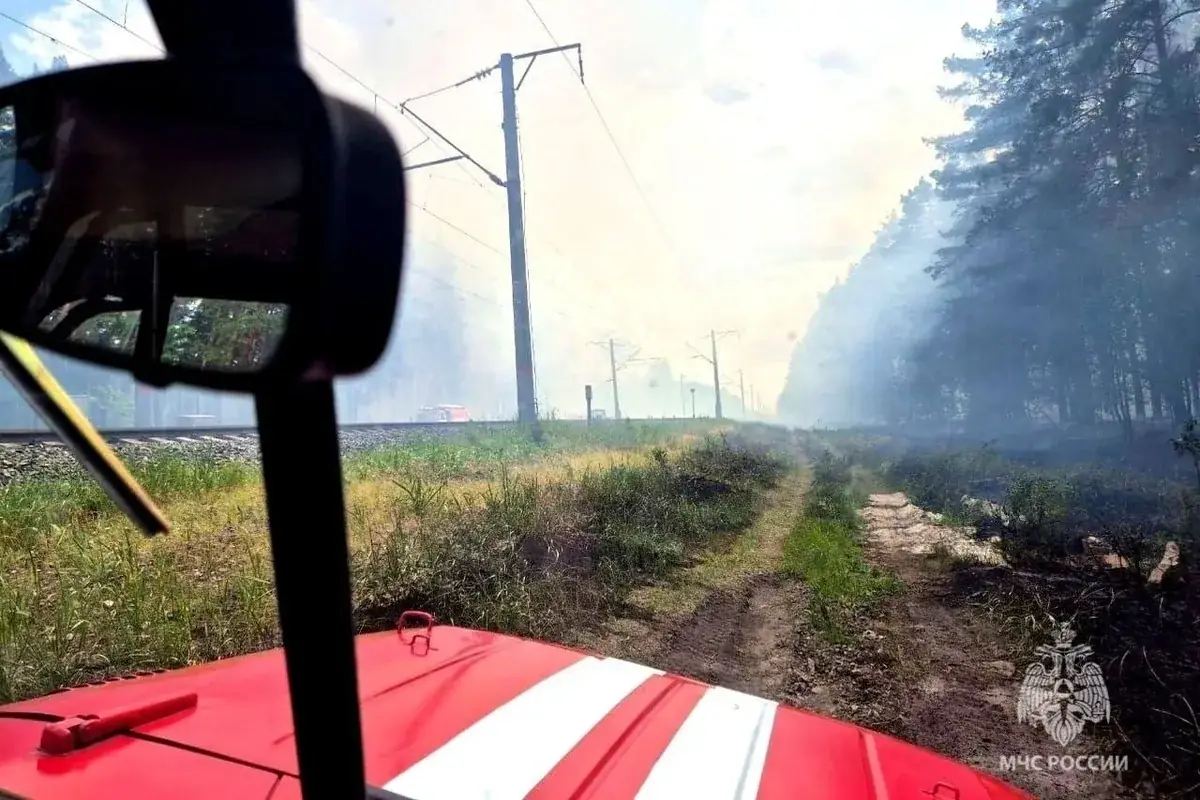 МЧС Липецк лесные пожары