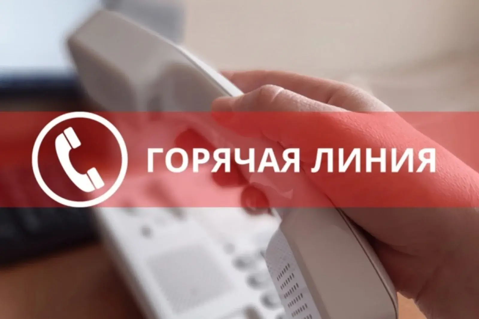 горячая линия правительство Архангельск помощь