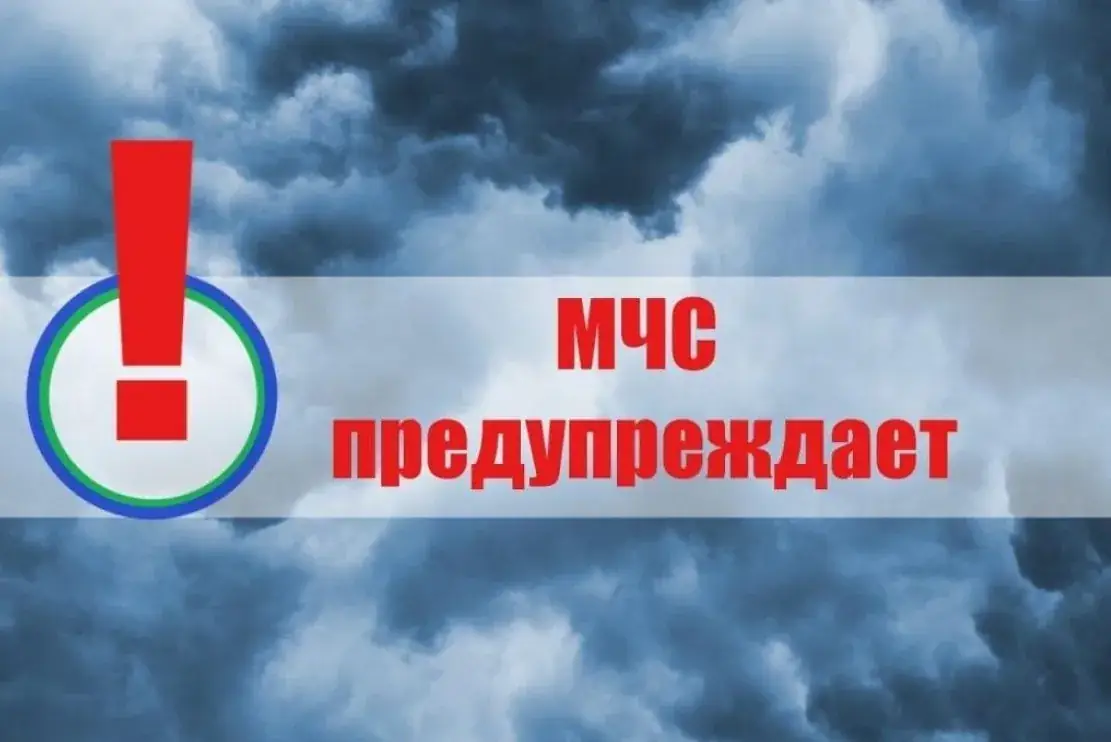предупреждение МЧС плакат Архангельск