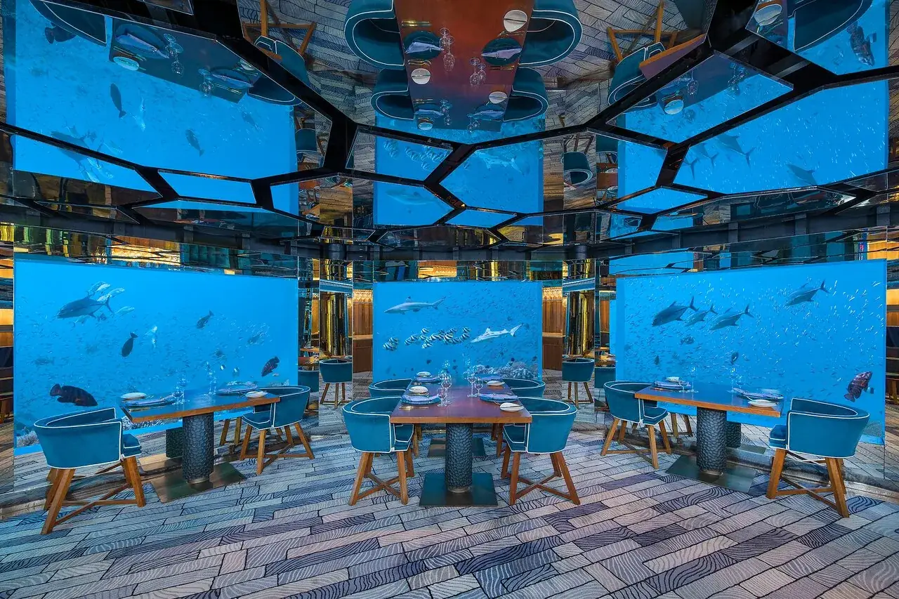 underwater restaurant Maldives sharks rays dinner