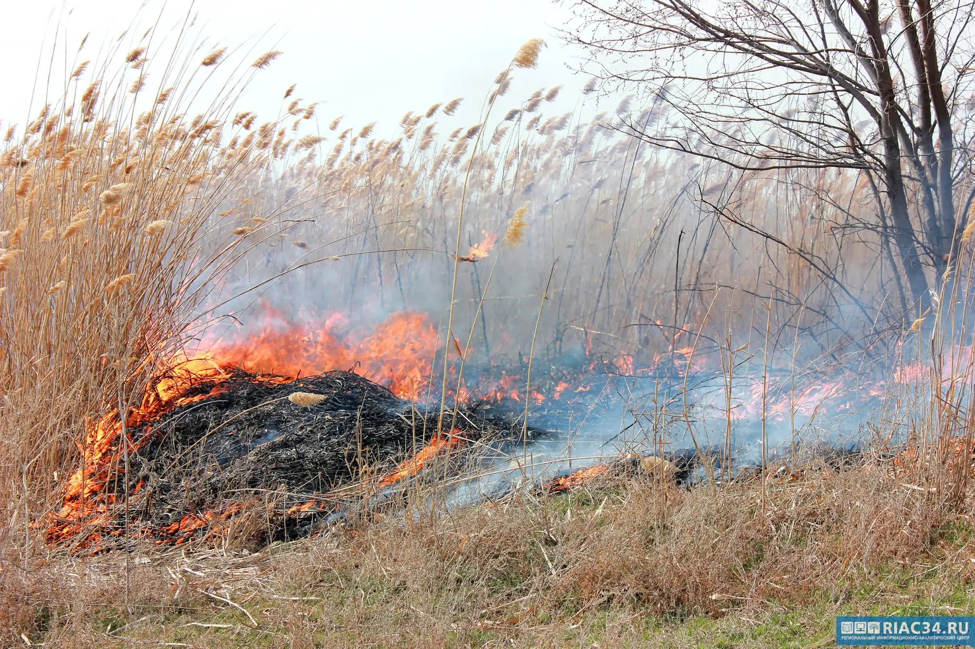 пожароопасность Волгоград