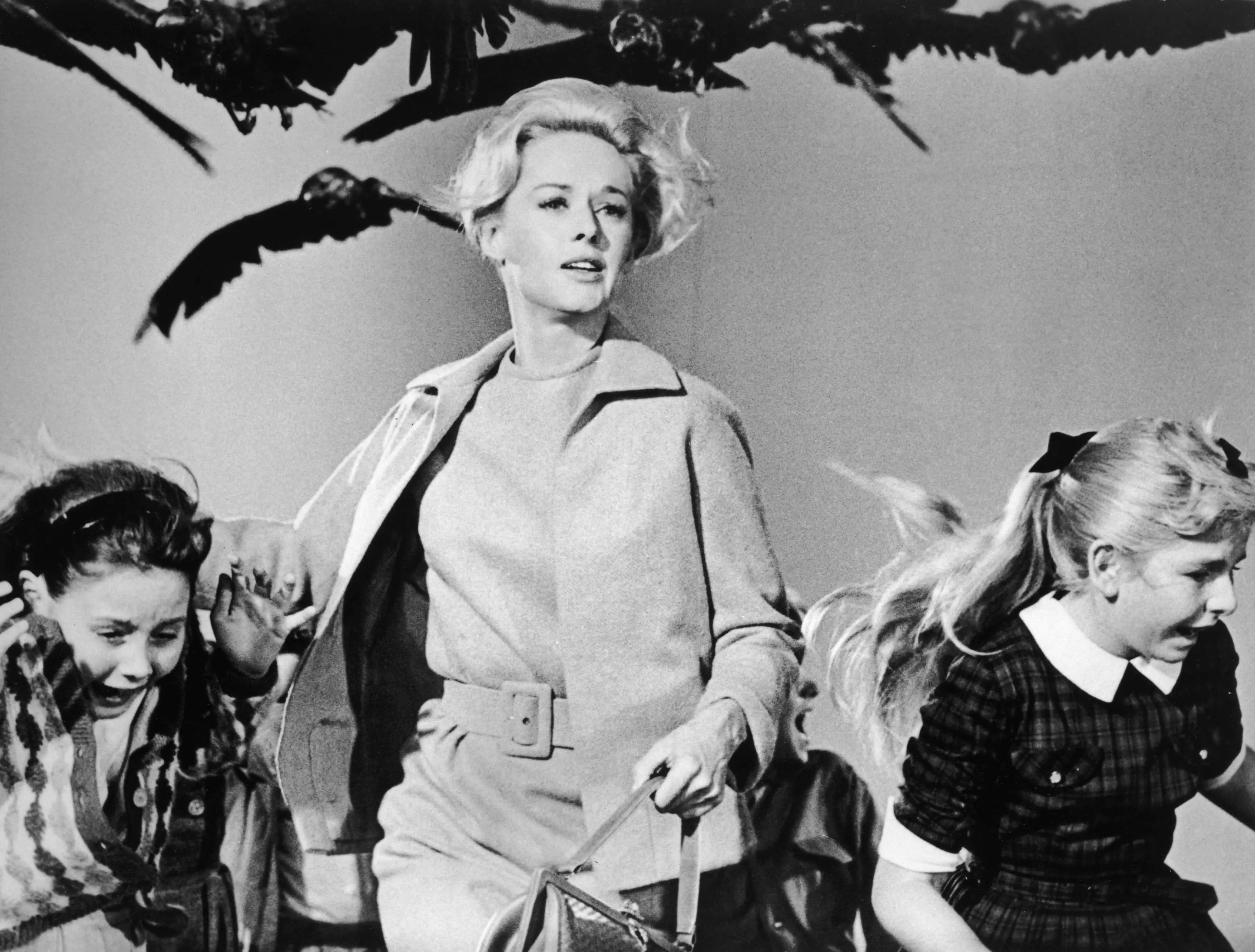 tipi hedren birds 1963 set attack scene