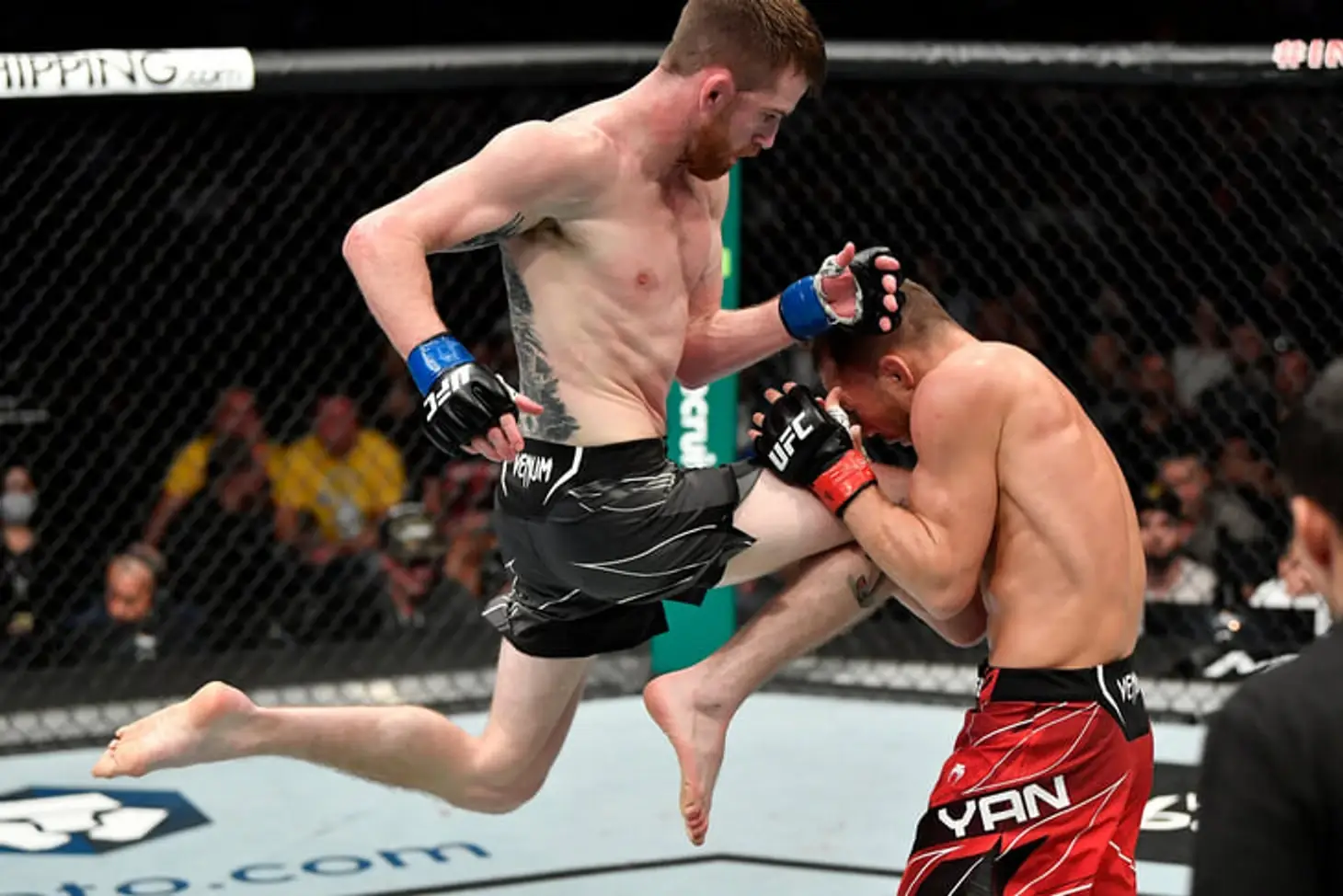 Petr Yan Umar Nurmagomedov bantamweight title UFC 2026