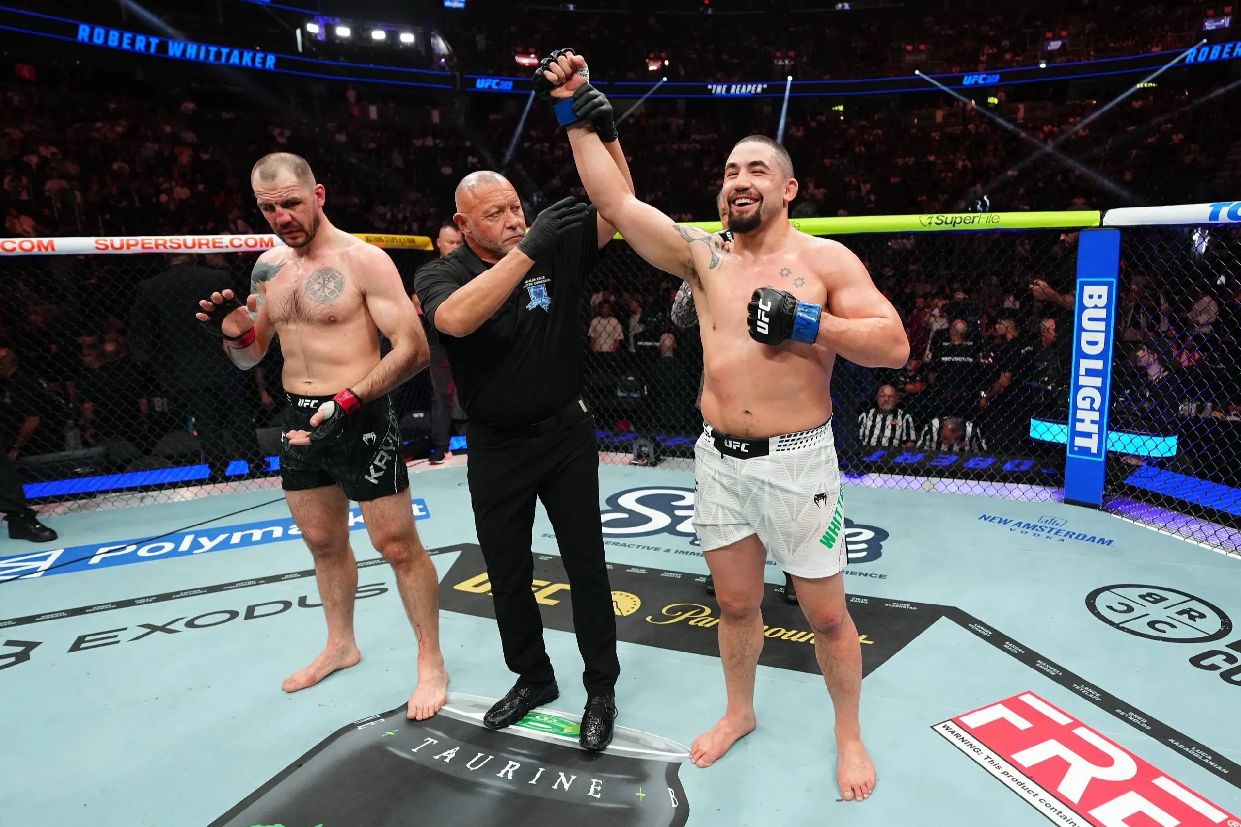 статистика пимблетт ufc рекорд 24-4 инфографика