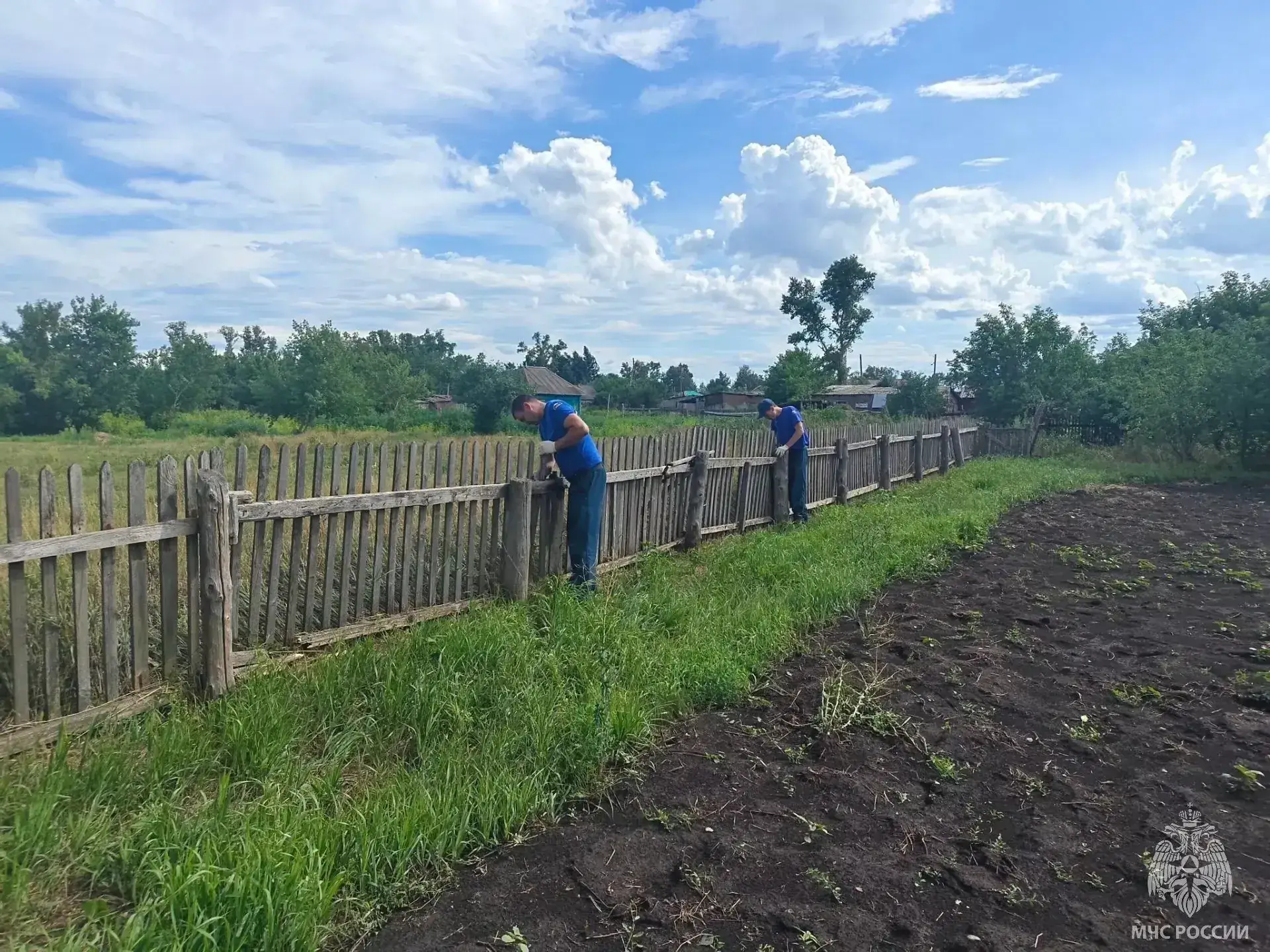 лесные пожары и засуха Алтайский край 2026