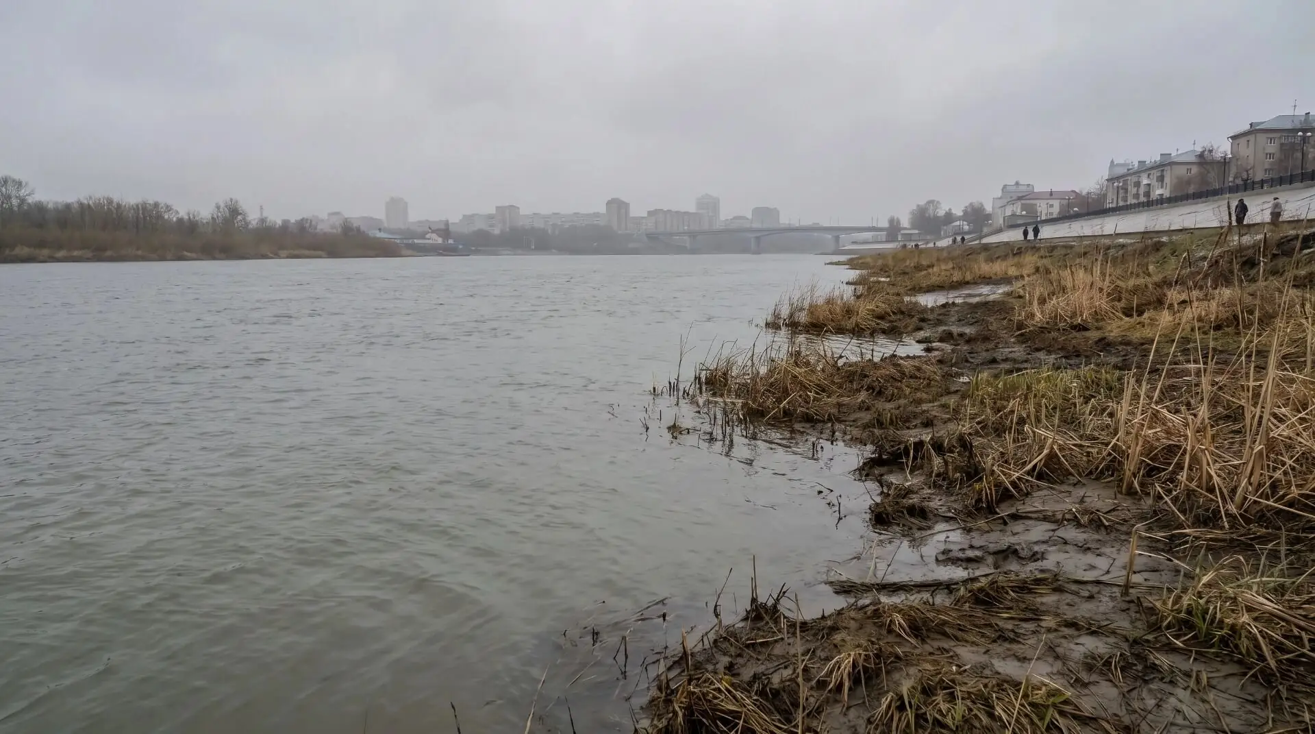 паводок река Тура Тюмень затопление