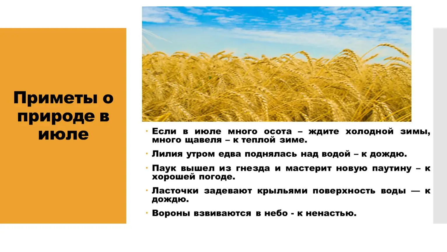 мытьё полы народные приметы июль