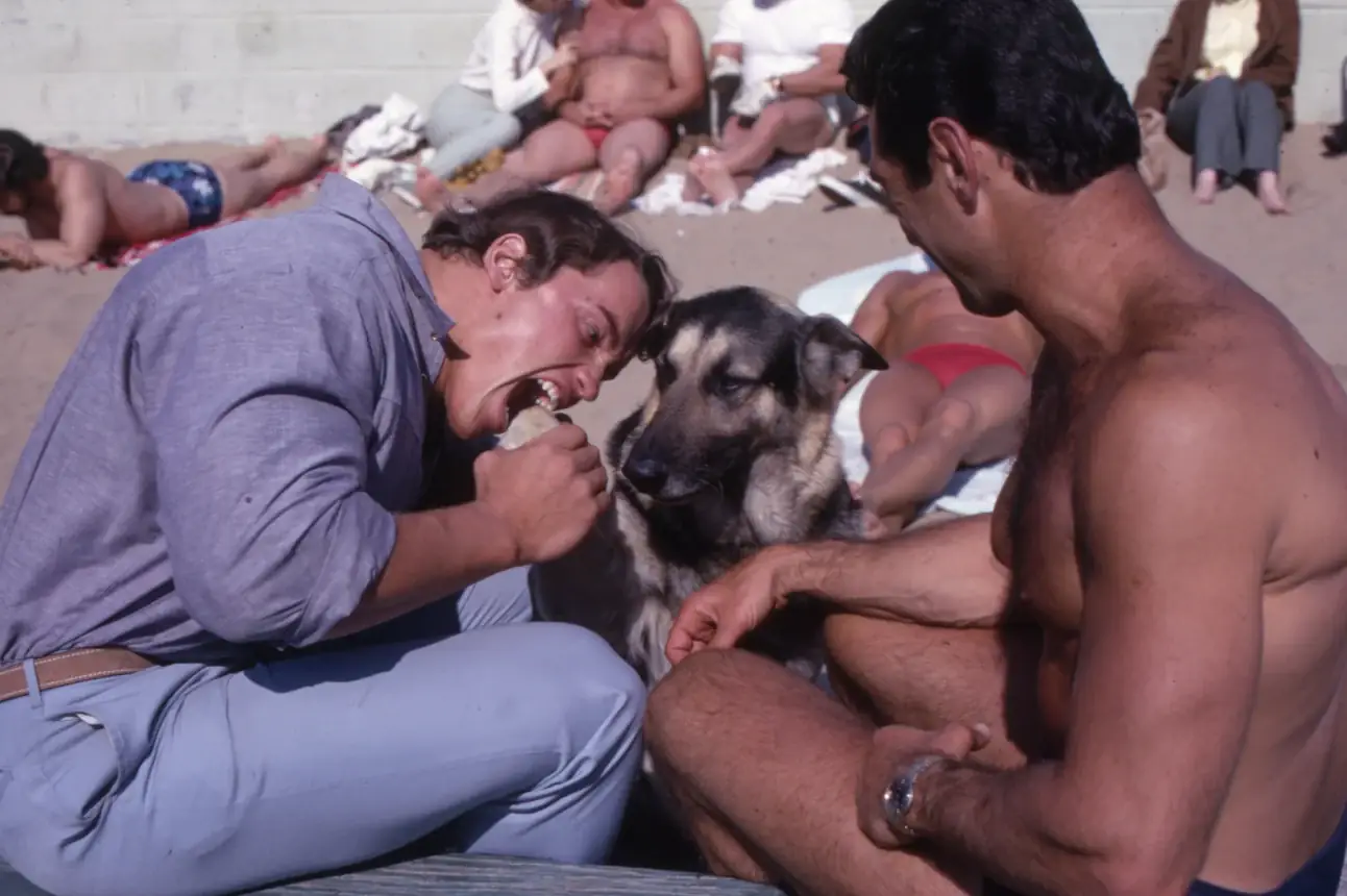 The Pump Club Arnold Schwarzenegger app