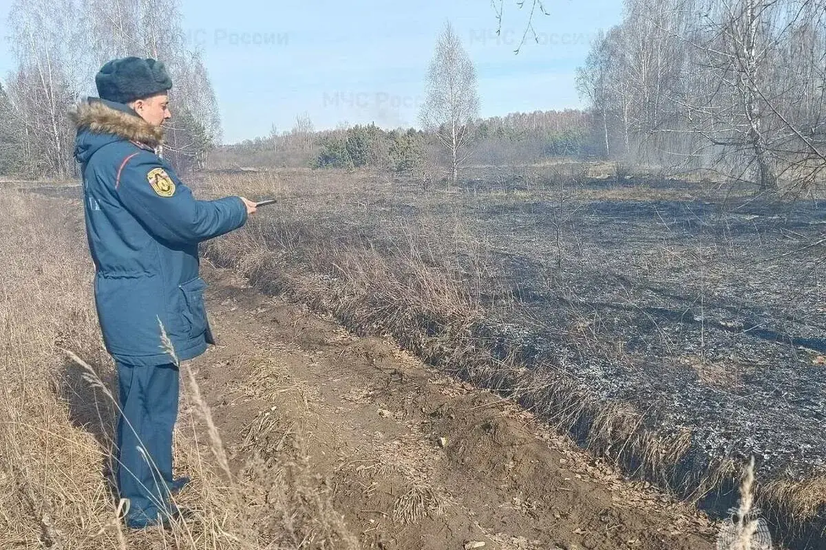 спасатели МЧС Рязань жара сухой лес