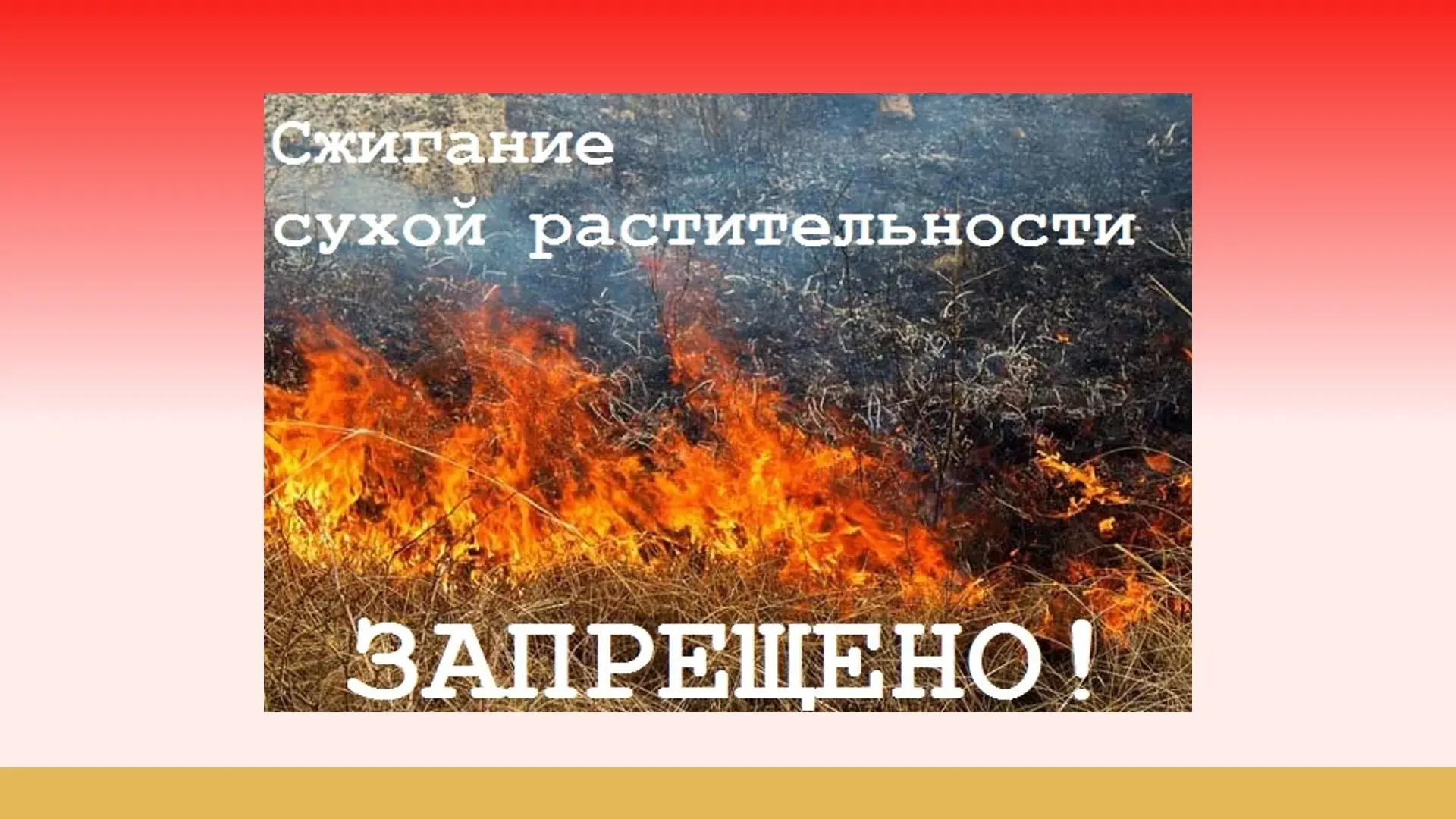 чрезвычайная пожарная опасность Воронеж сухая трава