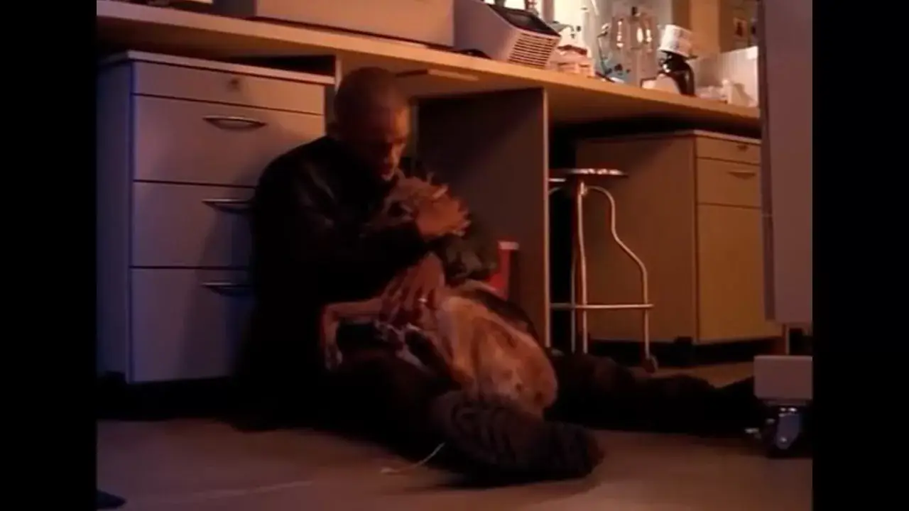 dog death in movies rating R