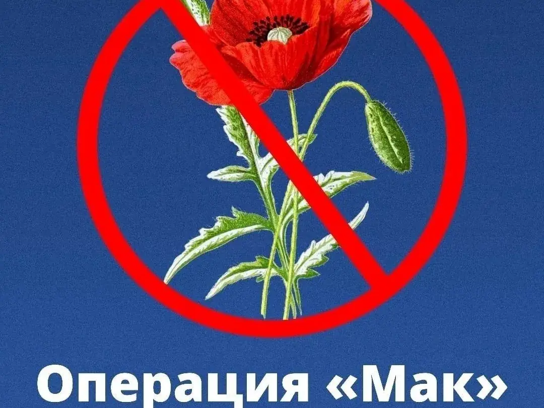 операция мак 2026 Томск уничтожение конопли