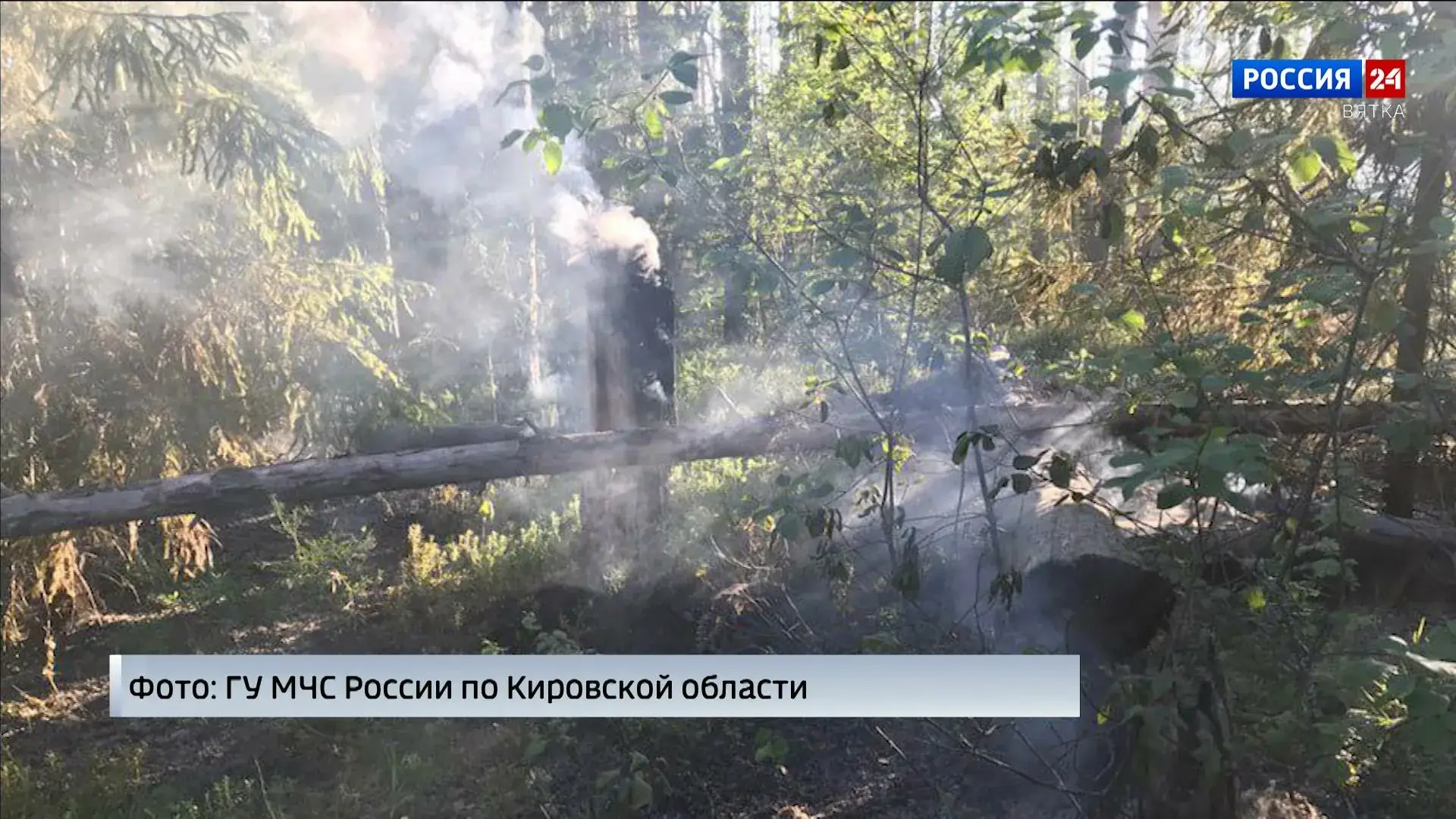 Кировская область пожар лес 2026
