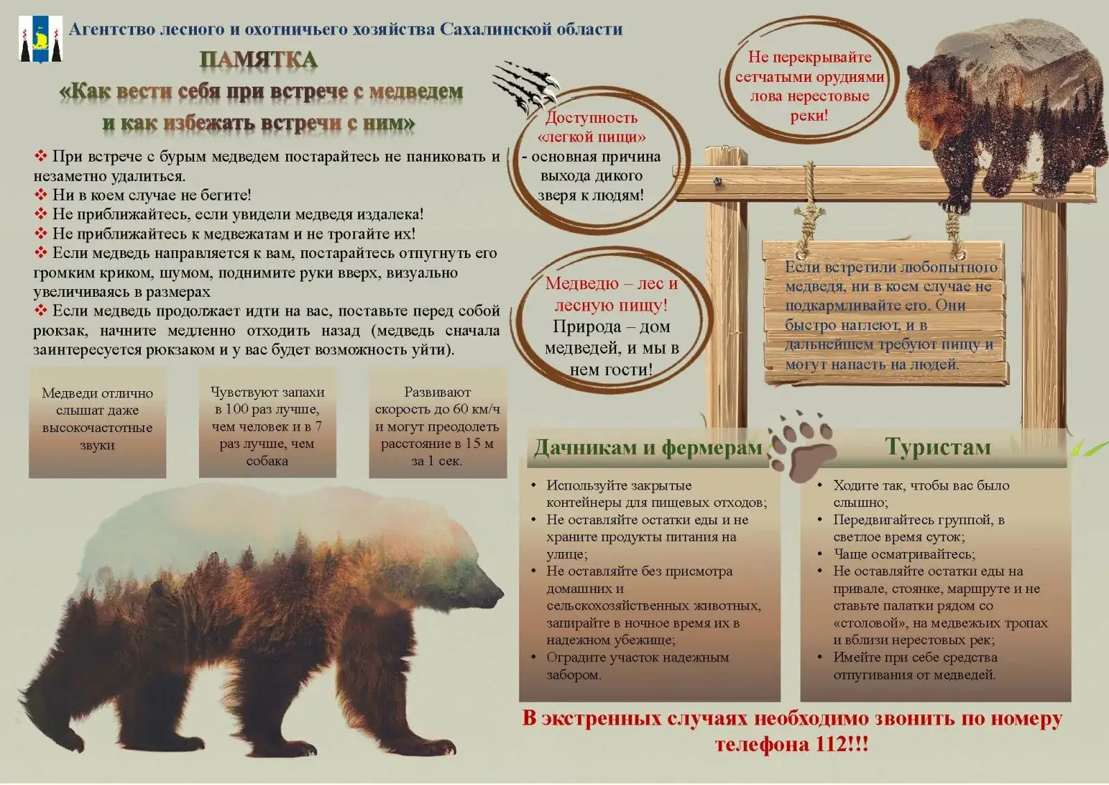 меры безопасности медведи Сибирь правила