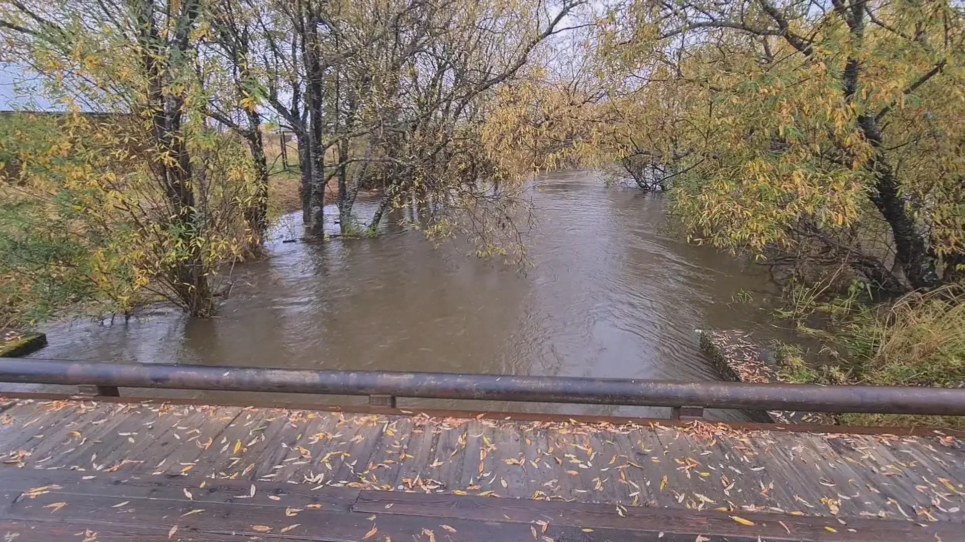 паводок реки Камчатка уровень воды