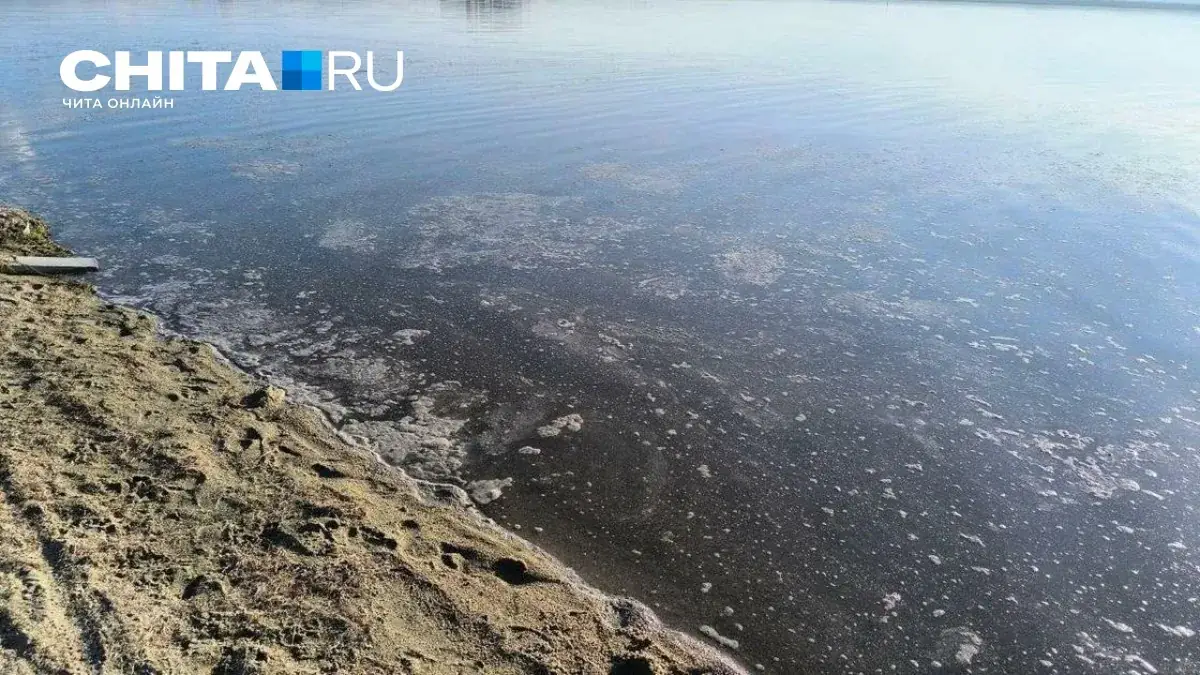 озеро Кенон Чита загрязнение вода