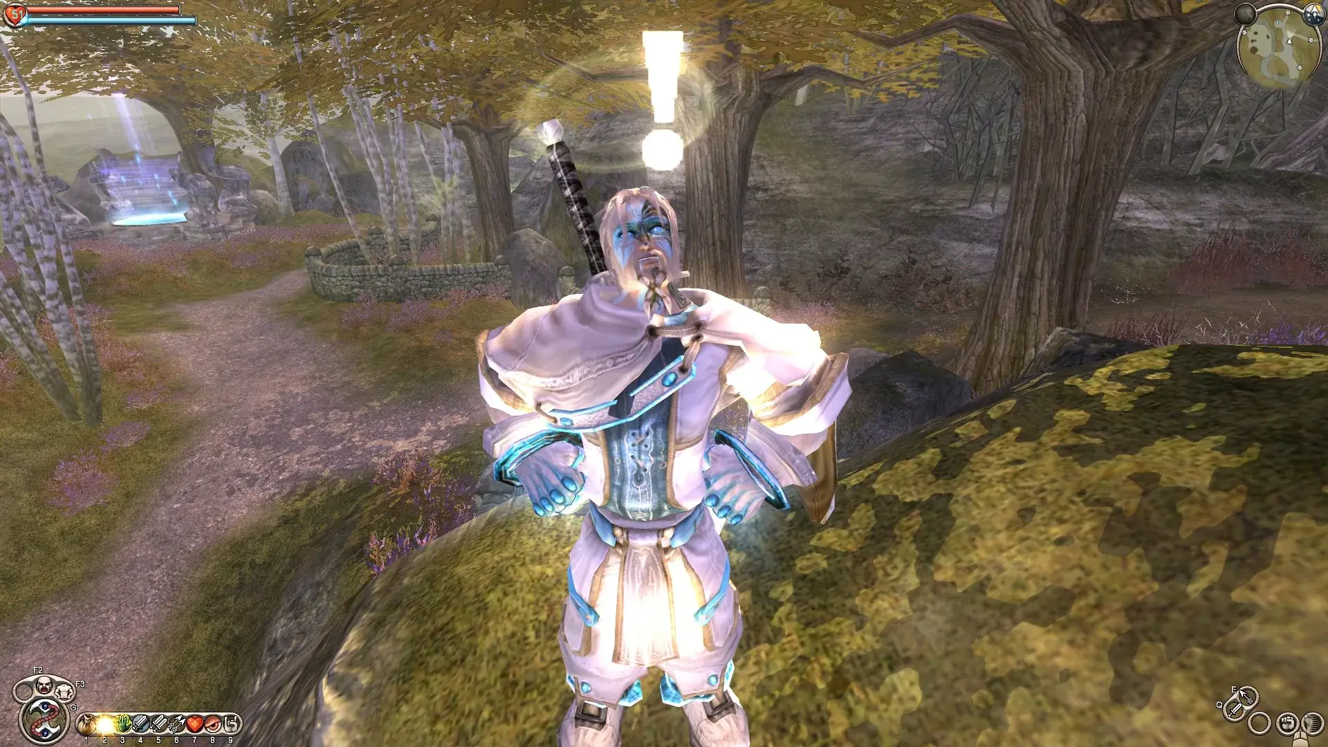 Fable character customization