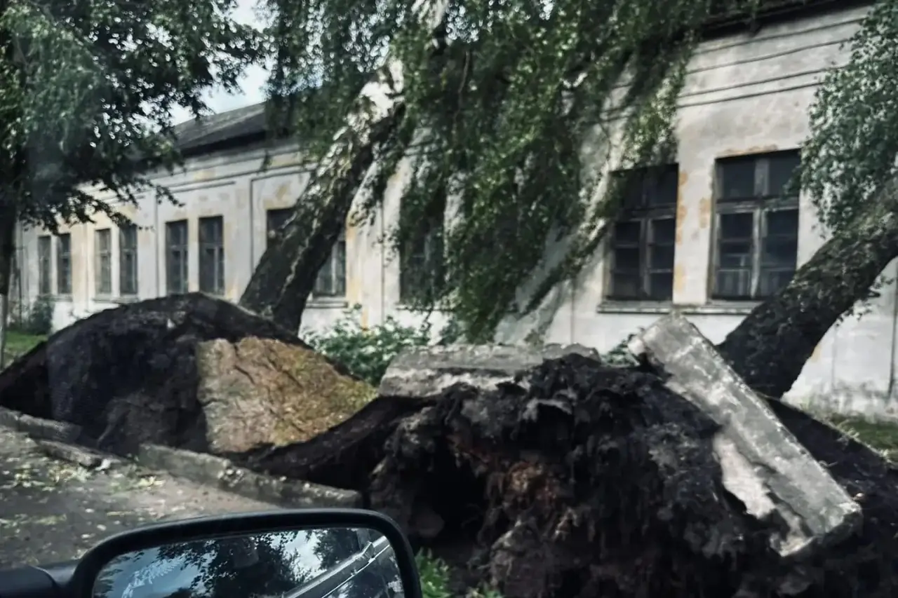 Срочно: 60 бригад возвращают свет 5 тысячам жителей Новгородской области после шторма, пока в лесах ищут заблудившихся