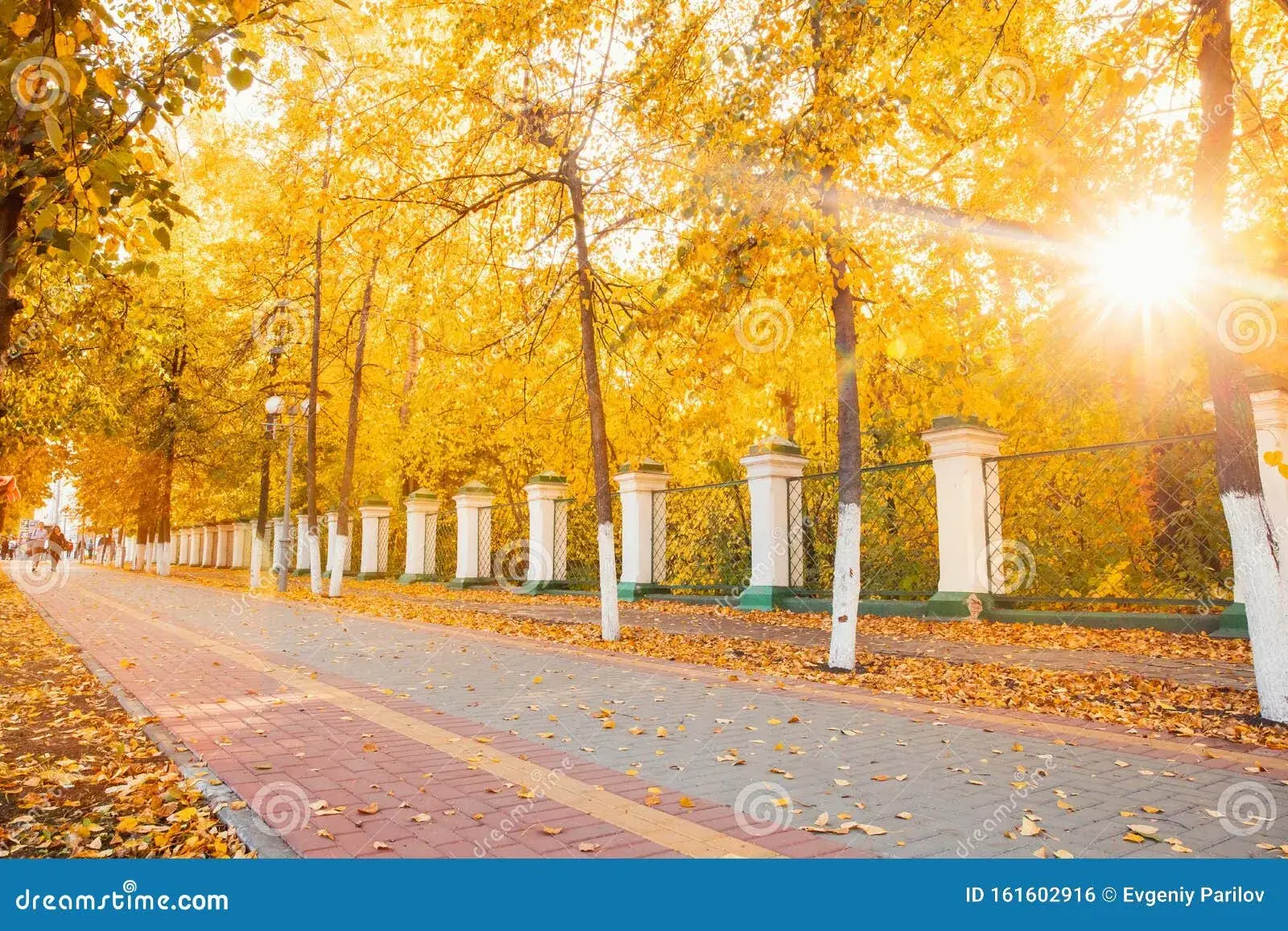 Томск осень дорога школа